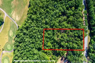 2026 Deep Gap Farm Rd E, Mill Spring, NC 28756 - Photo 3