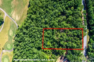 2026 Deep Gap Farm Rd E, Mill Spring, NC 28756 - Photo 3