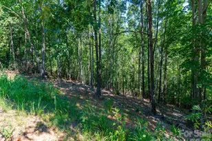 2026 Deep Gap Farm Rd E, Mill Spring, NC 28756 - Photo 23