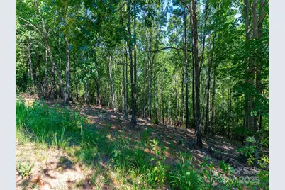 2026 Deep Gap Farm Road E, Mill Spring, NC 28756 - Photo 23