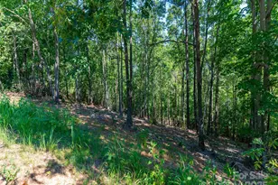 2026 Deep Gap Farm Rd E, Mill Spring, NC 28756 - Photo 23