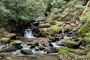 226 Wildcat Mountain Trl, Sylva, NC 28779 - Photo 5