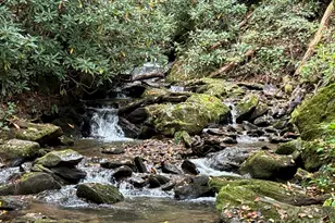 226 Wildcat Mountain Trl, Sylva, NC 28779 - Photo 5