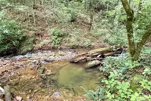 226 Wildcat Mountain Trl, Sylva, NC 28779 - Photo 43