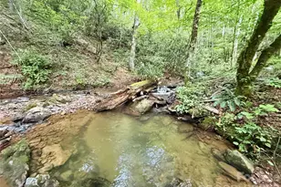 226 Wildcat Mountain Trl, Sylva, NC 28779 - Photo 7