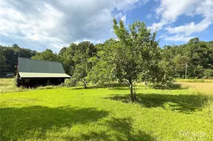 226 Wildcat Mountain Trl, Sylva, NC 28779 - Photo 39