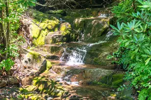 238 Falling Water Dr, Burnsville, NC 28714 - Photo 47