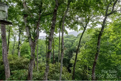 238 Falling Water Drive, Burnsville, NC 28714 - Photo 41