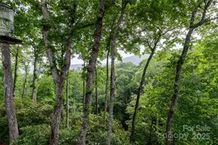238 Falling Water Dr, Burnsville, NC 28714 - Photo 41