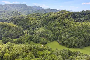 582 Lewis Branch Rd, Marshall, NC 28753 - Photo 45