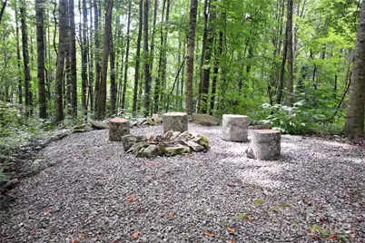 120 Spotted Fawn Lane, Waynesville, NC 28785 - Photo 41