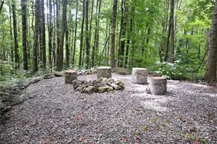 120 Spotted Fawn Ln, Waynesville, NC 28785 - Photo 41