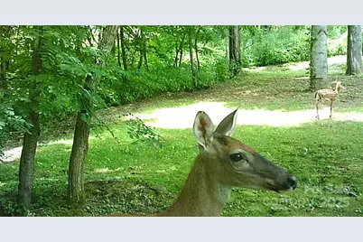 120 Spotted Fawn Lane, Waynesville, NC 28785 - Photo 33