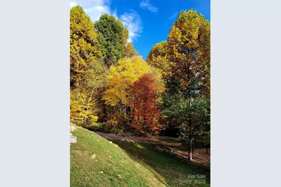 120 Spotted Fawn Lane, Waynesville, NC 28785 - Photo 21