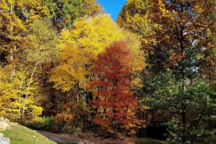 120 Spotted Fawn Ln, Waynesville, NC 28785 - Photo 21