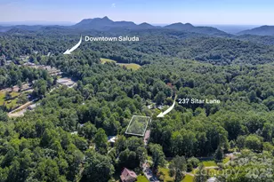 17 Sitar Ln, Saluda, NC 28773 - Photo 23