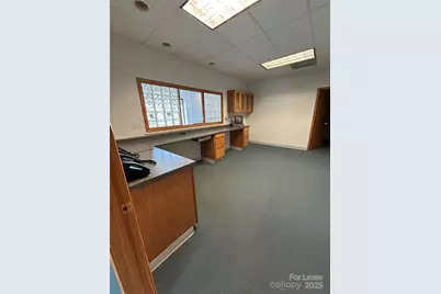 913 Upward Road, Flat Rock, NC 28731 - Photo 11