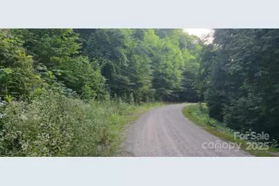 Lot 501 Spellbound Road, Waynesville, NC 28785 - Photo 9