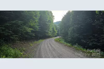 Lot 501 Spellbound Road, Waynesville, NC 28785 - Photo 11