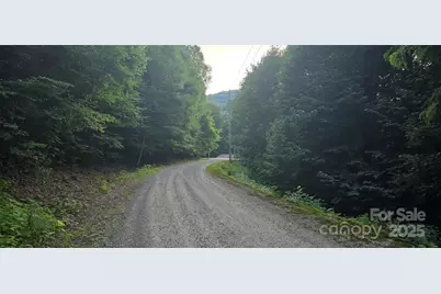 Lot 501 Spellbound Road, Waynesville, NC 28785 - Photo 7