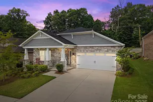 5240 Birchhill Rd, Mint Hill, NC 28227 - Photo 1