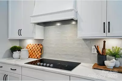 12069 Lavinia Lane, Charlotte, NC 28277 - Photo 5