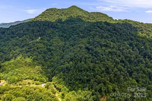 28 Back Stage Pass, Canton, NC 28716 - Photo 3