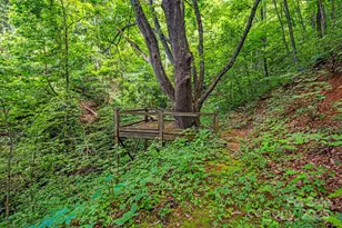 28 Back Stage Pass, Canton, NC 28716 - Photo 37