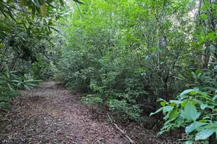 Lot 2 Pine Ridge Rd, Burnsville, NC 28714 - Photo 1