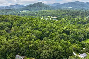 18 Wild Violet Ln, Arden, NC 28704 - Photo 27