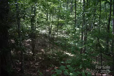 50 Firefly Springs Lane, Candler, NC 28715 - Photo 23