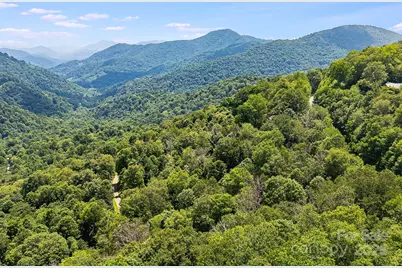 16 Mountain Gait Drive #16, Mars Hill, NC 28754 - Photo 3