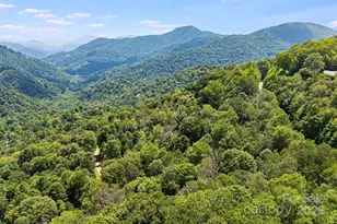 16 Mountain Gait Dr, Mars Hill, NC 28754 - Photo 3