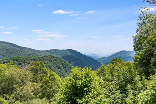 16 Mountain Gait Dr, Mars Hill, NC 28754 - Photo 11