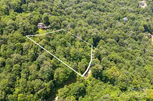 16 Mountain Gait Dr, Mars Hill, NC 28754 - Photo 9