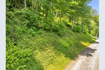 16 Mountain Gait Drive #16, Mars Hill, NC 28754 - Photo 13