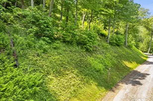 16 Mountain Gait Dr, Mars Hill, NC 28754 - Photo 13