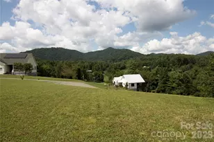 60 Gin's Ln, Mars Hill, NC 28754 - Photo 11