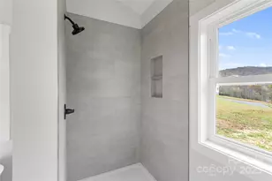 60 Gin's Ln, Mars Hill, NC 28754 - Photo 21