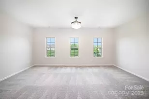 10045 Carousel Corral Dr, Midland, NC 28107 - Photo 33