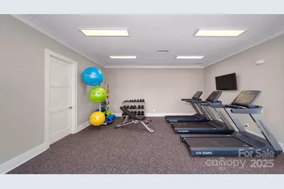 199 Asmodean Lane, Troutman, NC 28166 - Photo 33