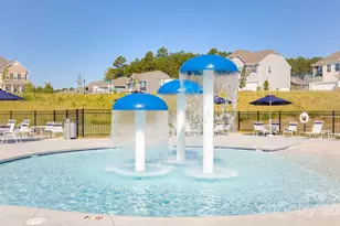 157 Asmodean Ln, Troutman, NC 28166 - Photo 45