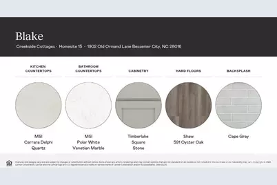 1902 Old Ormand Lane, Bessemer City, NC 28016 - Photo 3