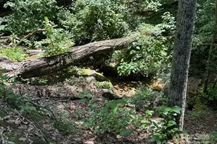 184 N Poplar Dr, Lake Lure, NC 28746 - Photo 47