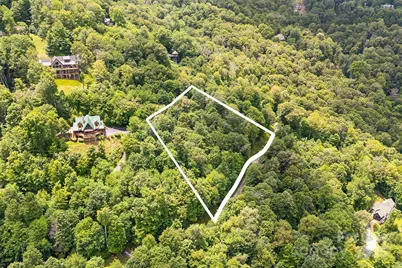 17 Mountain Gait Drive #17, Mars Hill, NC 28754 - Photo 11