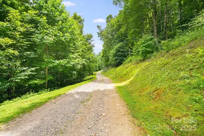 17 Mountain Gait Drive #17, Mars Hill, NC 28754 - Photo 19