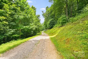 17 Mountain Gait Dr, Mars Hill, NC 28754 - Photo 19