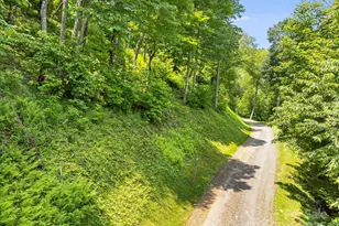 17 Mountain Gait Dr, Mars Hill, NC 28754 - Photo 25