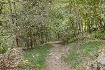 17 Mountain Gait Drive #17, Mars Hill, NC 28754 - Photo 47