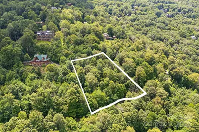 17 Mountain Gait Drive #17, Mars Hill, NC 28754 - Photo 7